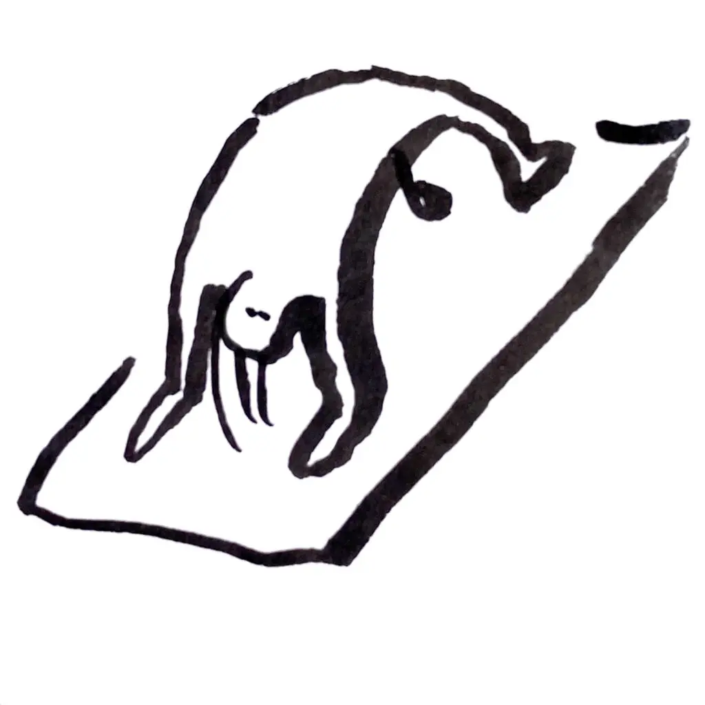 Yoga illustration