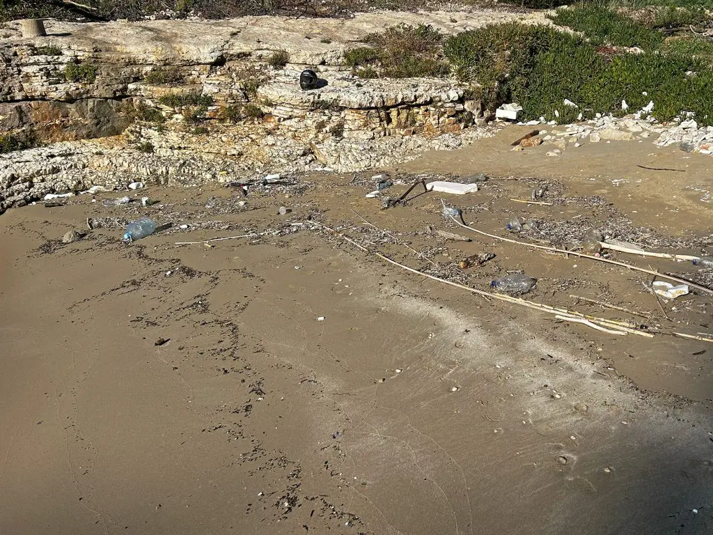 Gdje počinje ekologija?