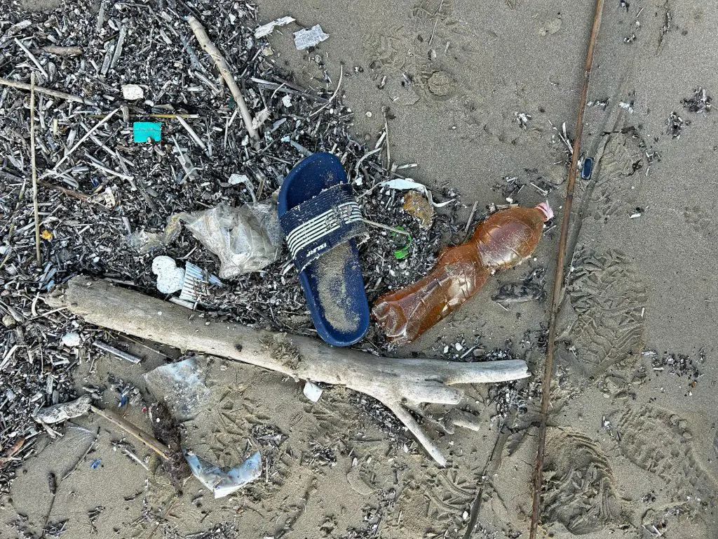 Gdje počinje ekologija?