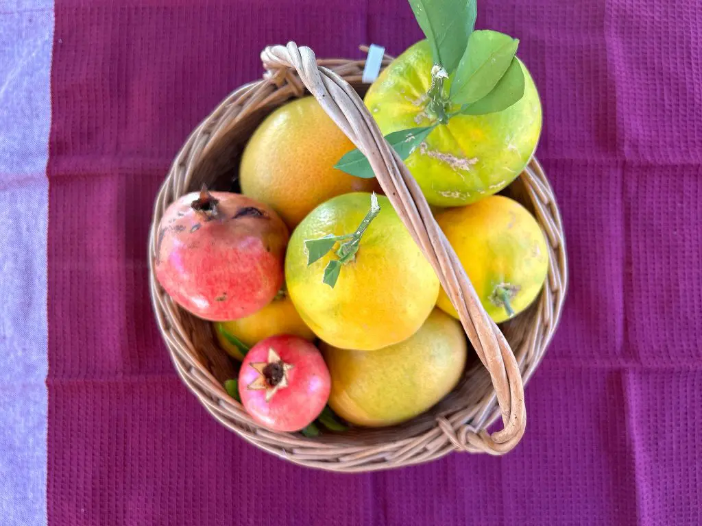 Gdje počinje ekologija?