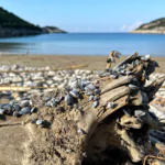 naplavnia_bisevo_1